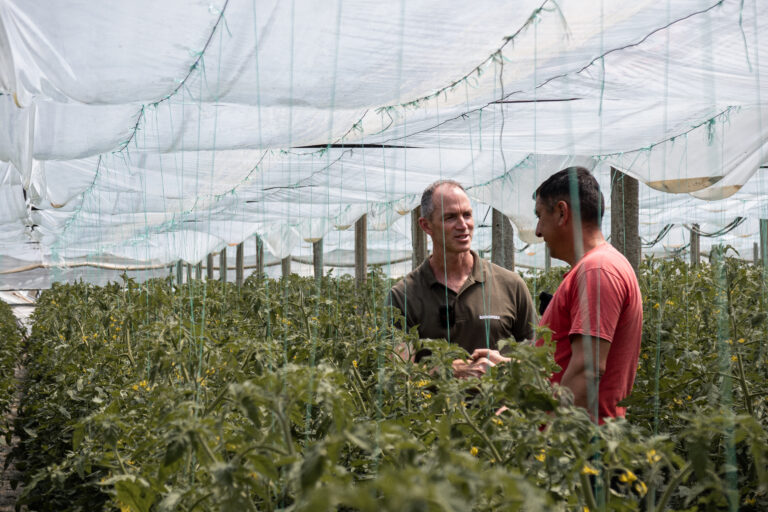 GROGREEN advisor with a grower in a greenhouse