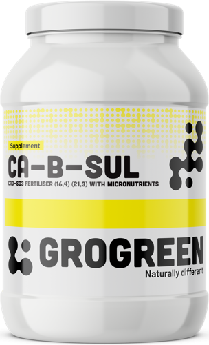 GROGREEN Ca-B-Sul 5 kg